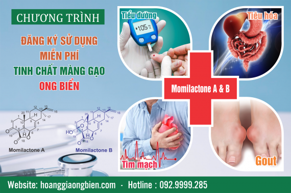 Chương trình thiện nguyện 2024